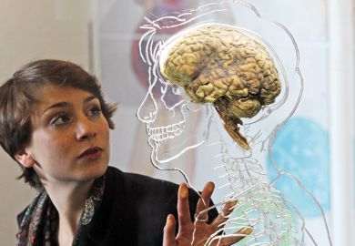 woman looking at a real human brain being displayed