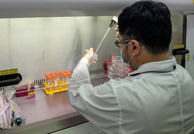A technician cultivates lung cells as he preps for research into the infectivity of the SARS-CoV-2 in human lungs at a laboratory at the University of Hong Kong