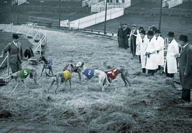 Dog race Dog race