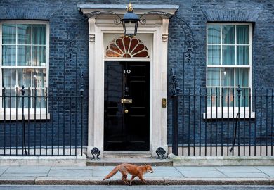 Fox at number 10 Fox at number 10