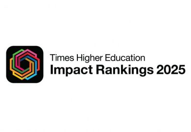 THE University Impact Rankings 2025 logo