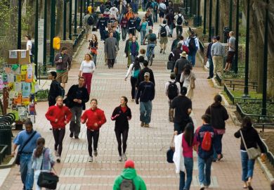people on a path