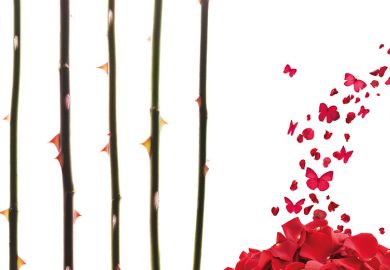 Thorns and butterflies