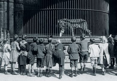 Tiger in cage at Berlin Zoo
