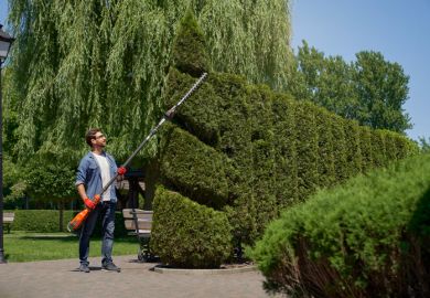 A man trims his hedge into a shape, symbolising strategic cuts