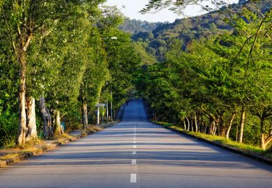 Tree-lined road stretching to horizon Tree-lined road stretching to horizon
