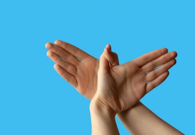 Two hands making the shape of a bird, mimicking the Twitter logo