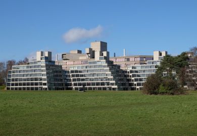 UEA ziggurats UEA