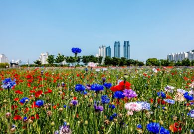 Ulsan Ulsan