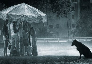 People grouped under an umbrella while a dog sits in the rain illustrating the status of doctoral researchers