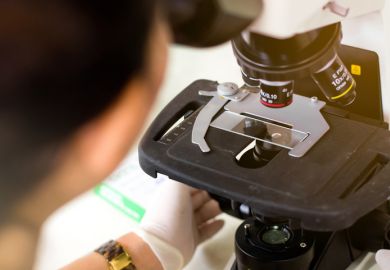 Under the microscope