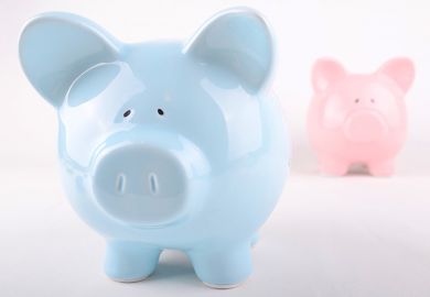 Wage inequality illustrated by blue and pink piggybanks