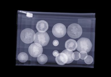 X-ray of purse filled with UK coins, illustrating that universities could be required to be transparent in how they spend money received in quality-related (QR) funding from the Research Excellence Framework.