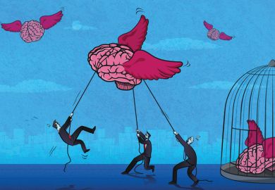 Illustration of Men trying to catch brains that are flying with wings Illustration of Men trying to catch brains that are flying with wings to illustrate Sanctions are compatible  with academic freedom