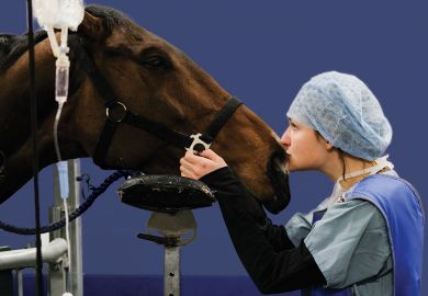 Intern Emma Saric kisses a horse Intern Emma Saric kisses a horse to illustrate Trade-offs are needed to expand apprenticeships