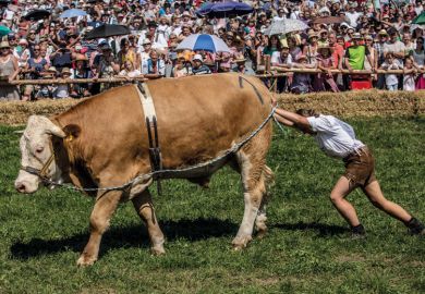 A participant wearing traditional Bavarian lederhosen pushes her ox to illustrate Bavaria’s ‘experiment’ with non-EU tuition fees runs into difficulties
