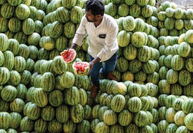 Farmer splits open a watermelon in a fruit market as a metaphor for time for a home-grown English language test, Indian agents  