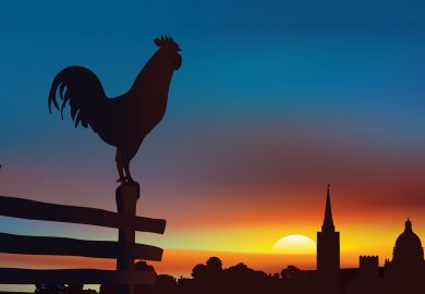 Rooster on a fence at sunrise with buildings in the background