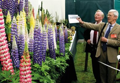 Judges inspect an arrangement of colourful flowers Judges inspect an arrangement of colourful flowers to illustrate High REF scores linked to strong journal impact factors – study