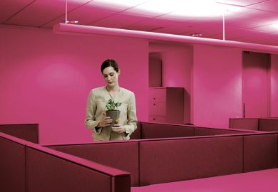 Businesswoman in office holding a house plant Businesswoman in office holding a house plant to illustrate Declining self-determination is eroding academic motivation