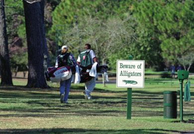 A sign warning about alligators on the course to the golfers to illustrate South Carolina assault on tenure ‘will drive academics away’