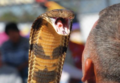 Snake with mouth open wide near mans head as a metaphor for oise State committed to diversity despite political ‘venom’