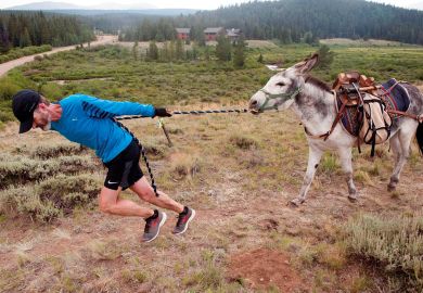 Person trying to pull a donkey Person trying to pull a donkey to illustrate Canada hesitates to join global research race