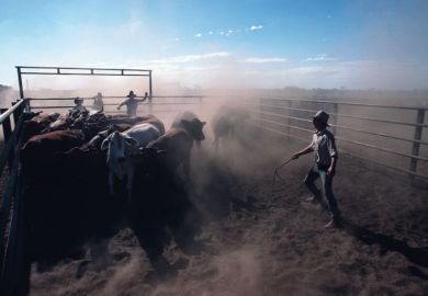 Cowboys helps to separate cows into different pens to illustrate V-c: give regional universities first dibs on extra equity places