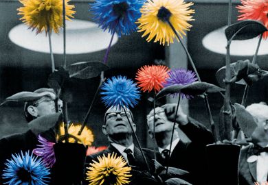 Four judges examine several dahlias during the competition in 1968 as a metaphor for graduate employment outcomes.