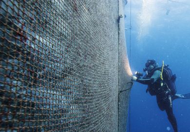 A diver checks a huge net holding hundreds of fish A diver checks a huge net holding hundreds of fish to illustrate ‘Remove grant application barriers’ for net research gain