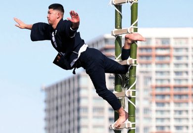 Performer balances on the top of a bamboo ladder to illustrate Japan’s ¥10 trillion excellence fund off to shaky start