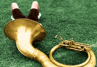  A young musician relaxes in the shade of his instrument to illustrate We need a s tatutory qualificatio n for  practitione rs in higher educ ation