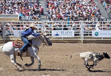 Tie-down roper Logan Bird snags this calf to illustrate Ministers demand online university staff live in remote town
