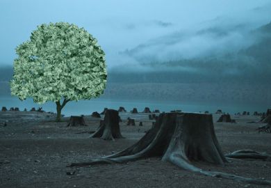 Tree filled with money with other trees cut down. Tree filled with money with other trees cut down.