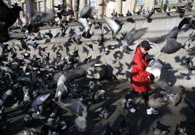  Woman feeding pigeons in Trafalgar Square London to illustrate ‘Hounded’ academics urge ministers to back campus free speech act
