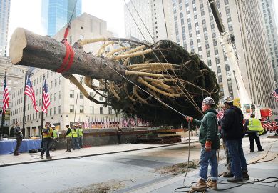 Large tree cut down from central Pennsylvania Large tree cut down from central Pennsylvania to illustrate ‘Test case’ Pennsylvania plans university funding overhaul