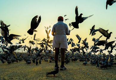 Man feeds pigeons at sunrise in Mumba Man feeds pigeons at sunrise in Mumba to illustrate Resignation brings hope of overhaul for India’s rankings