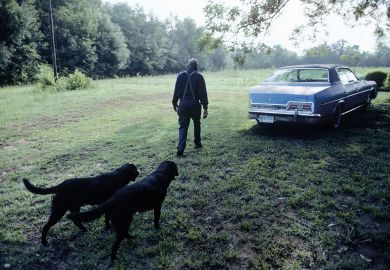 Dogged by the black dog 35 per cent of undergraduates and 32 per cent of postgraduates screened positive for major depressive order, according to a new study Dogged by the black dog 35 per cent of undergraduates and 32 per cent of postgraduates screened positive for major depressive order, according to a new study