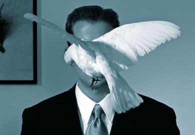 White dove flying in front of businessman White dove flying in front of businessman