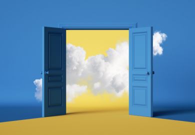 A wide door, illustrating business schools widening access