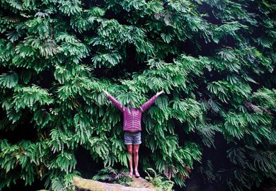 Woman hides her face in plant Woman hides her face in plant