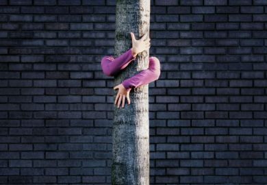 Woman hugging tree trunk