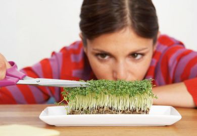 Woman trimming sprouts with scissors Woman trimming sprouts with scissors