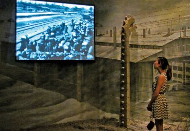 Woman viewing holocaust documentary on large-screen television