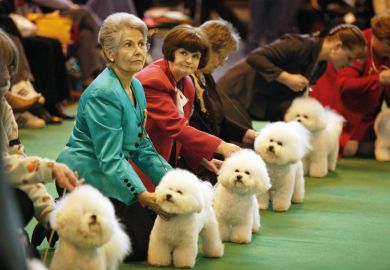 Women attending a dog show Women attending a dog show