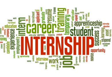 work experience, internship, job, jobs