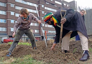 Working on an allotment