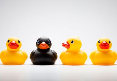 Yellow and black rubber ducks