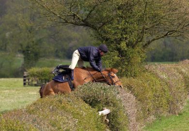 Horse and jockey crashing into hedge