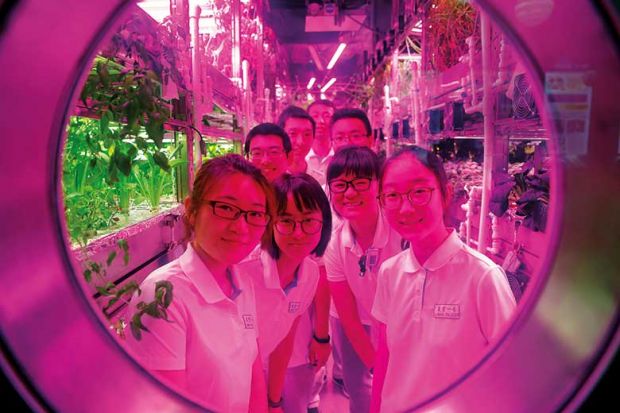 chinese-students chinese-students